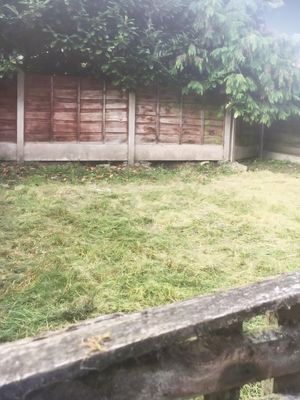 Rear Garden- click for photo gallery